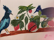 blue jays and berries